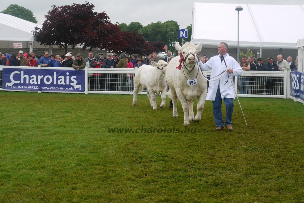 WCC Nagy-Britannia 2012 - DZ